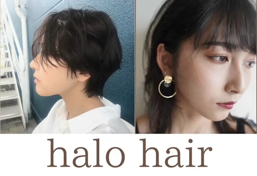 澤江 翔吾の掲載