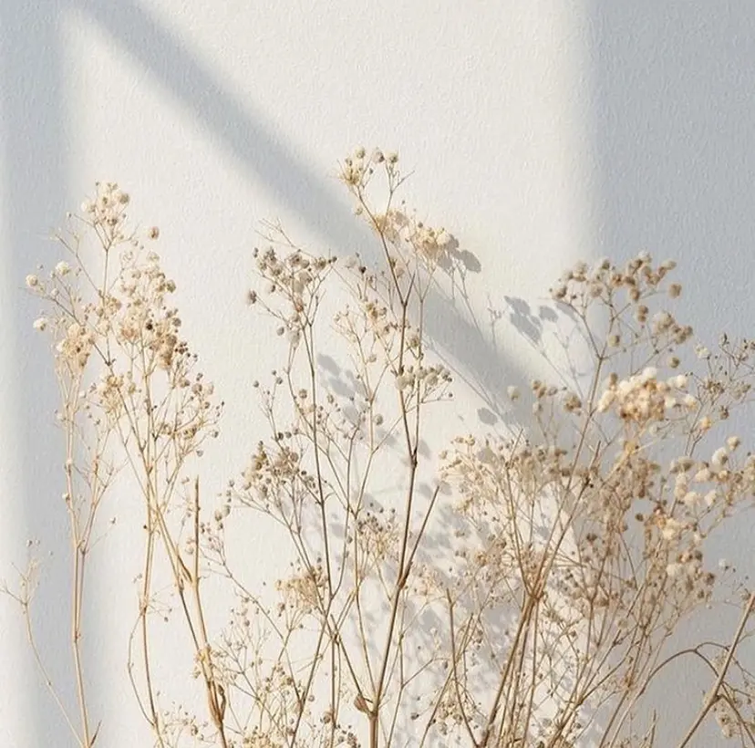 カットカラーパーマ 募集／Otohaの掲載