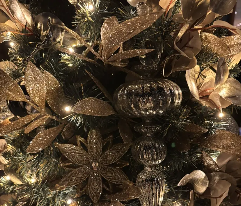 丁寧に最後まで Ai亀戸🌙松本の掲載