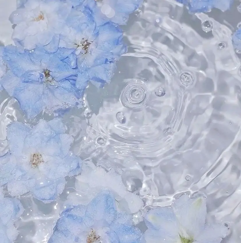 坂口 歩美の掲載