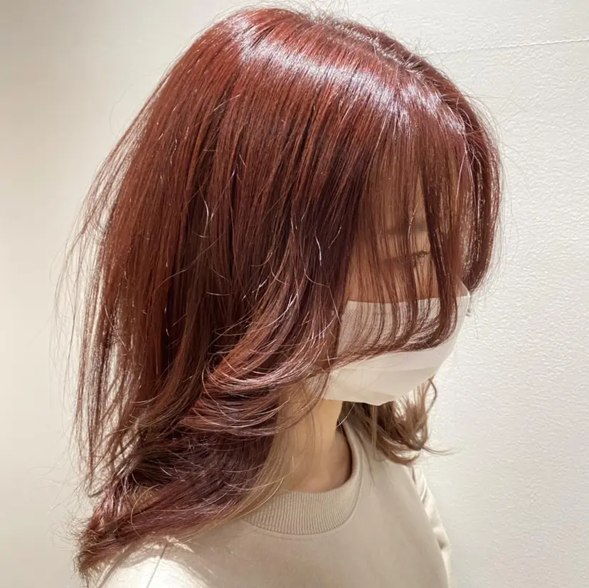 丸田 幹太の掲載