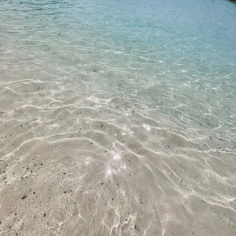 毛利 拓夢の掲載