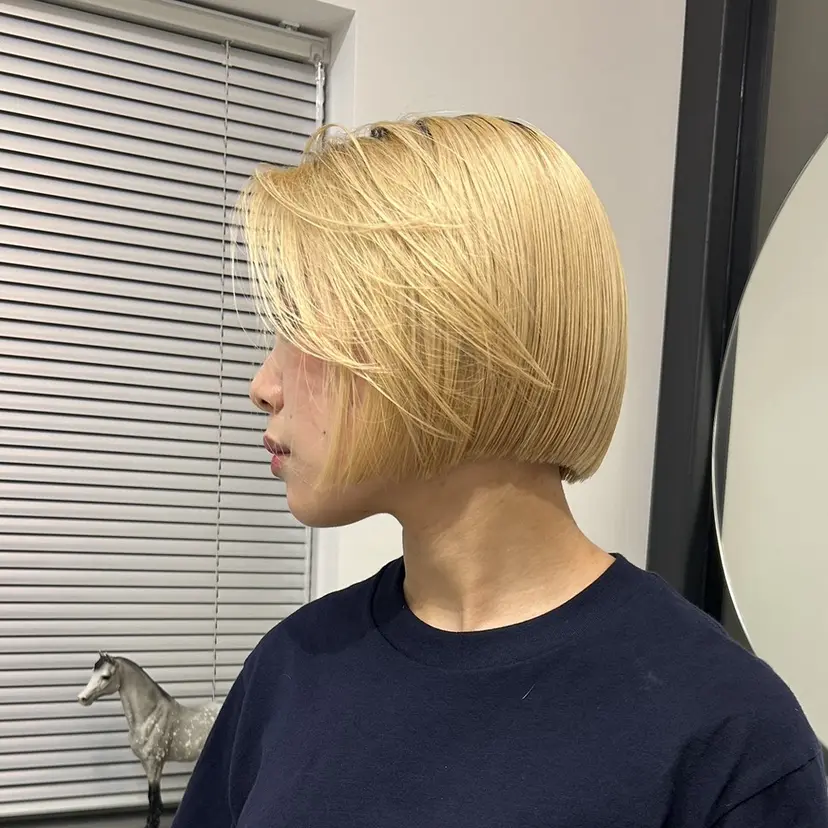 谷 明日加の掲載