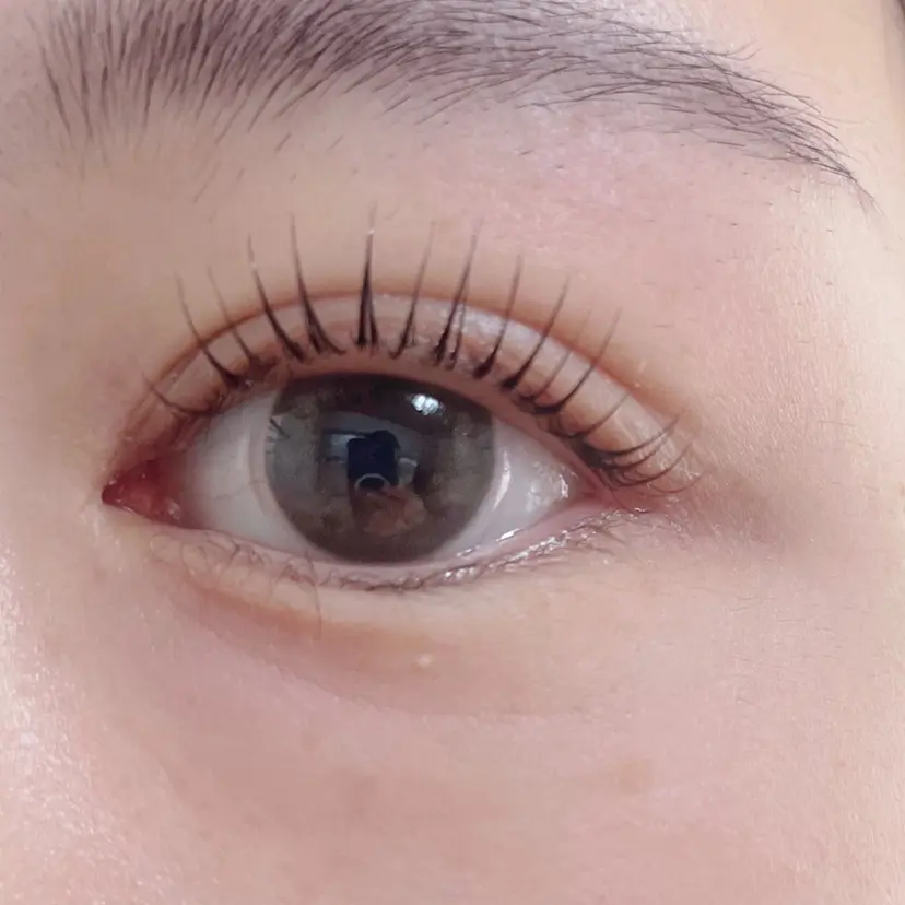 pacha みきの掲載