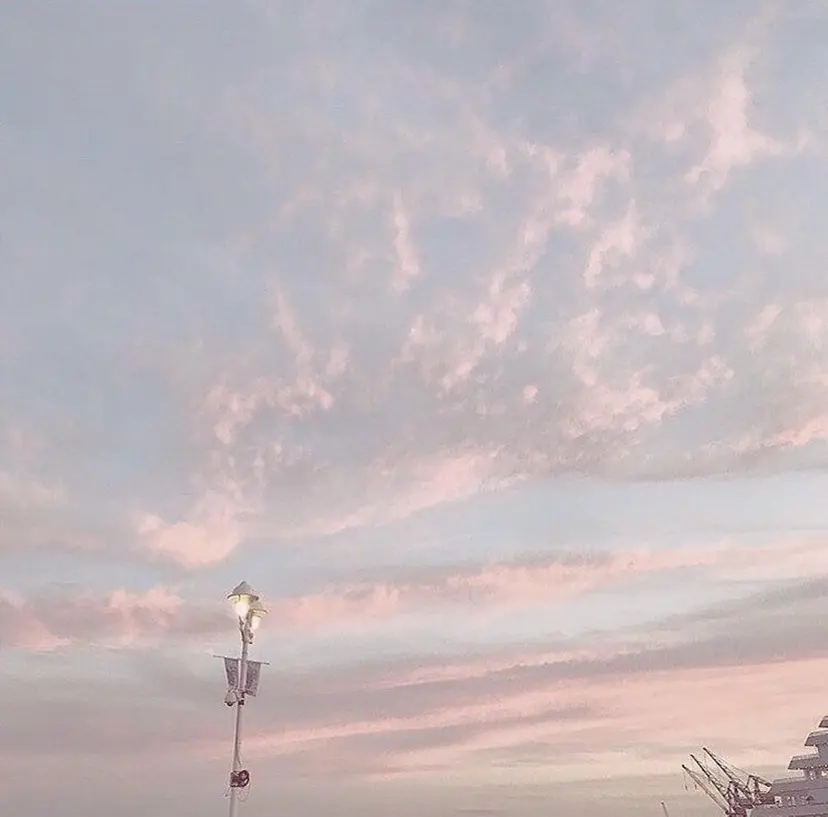 片柳 美友季の掲載