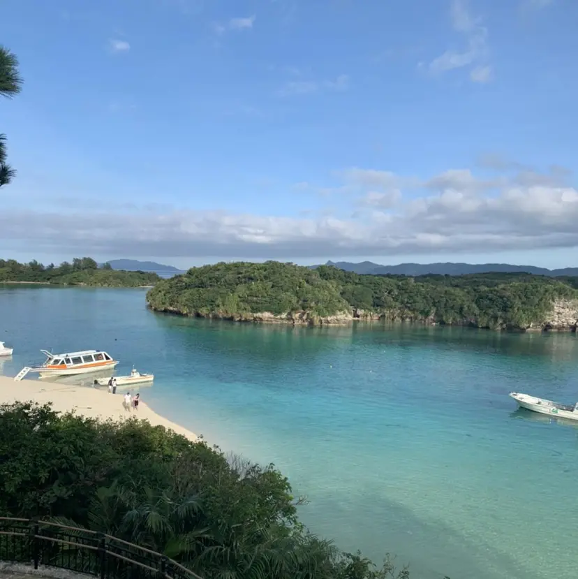 🦋小泉 綺芽🦋の掲載