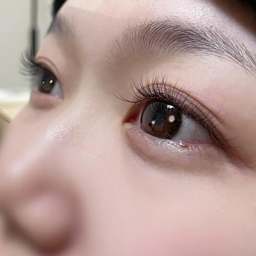 makanani lashの掲載