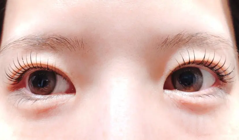 progress MOE*の掲載