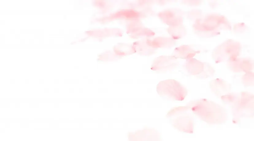 渡辺 由規の掲載