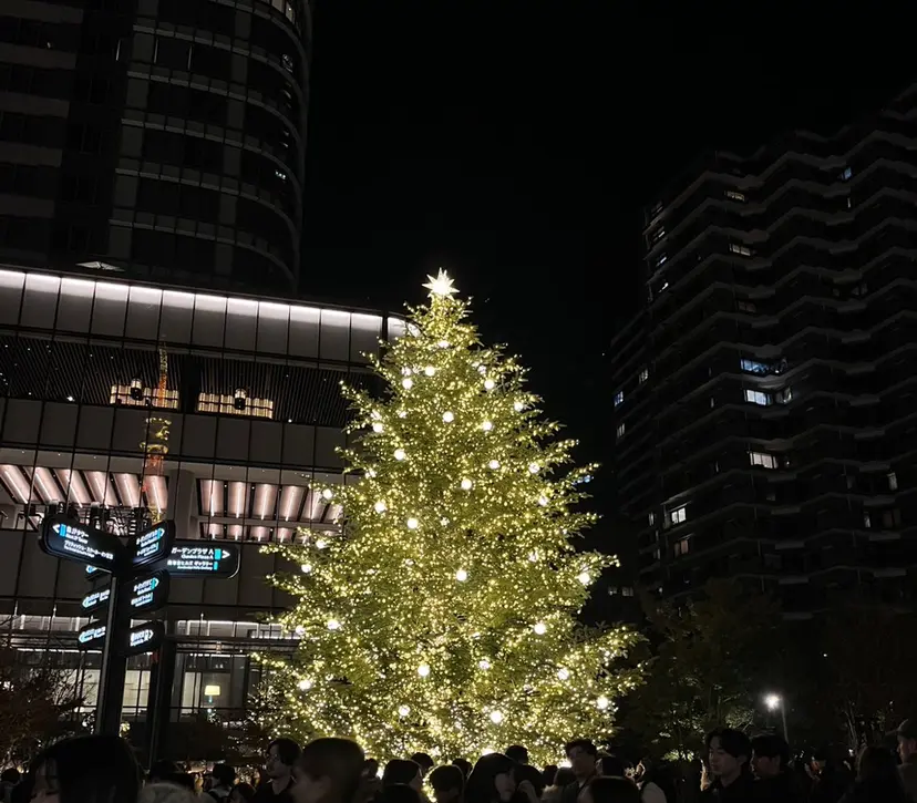 Neolive 銀座 / mioの掲載