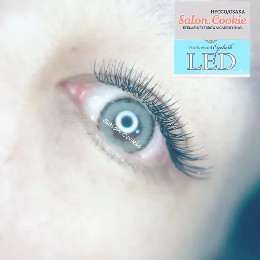 サロンドットクッキー KYUの掲載