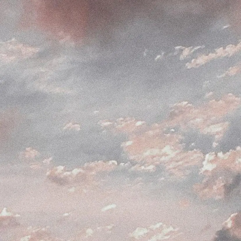 yadori tomoyoの掲載