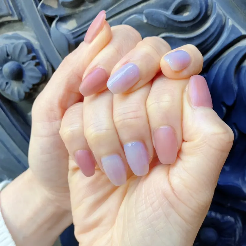 綱島 佳恵の掲載