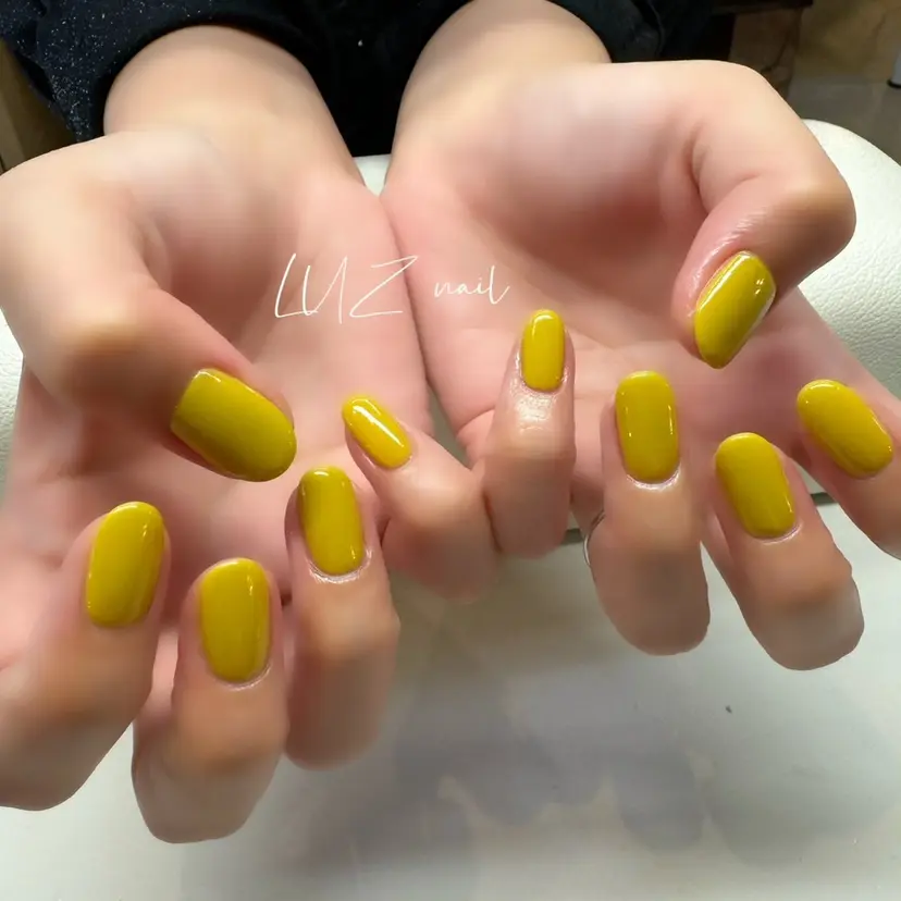 パラジェル lira nailの掲載