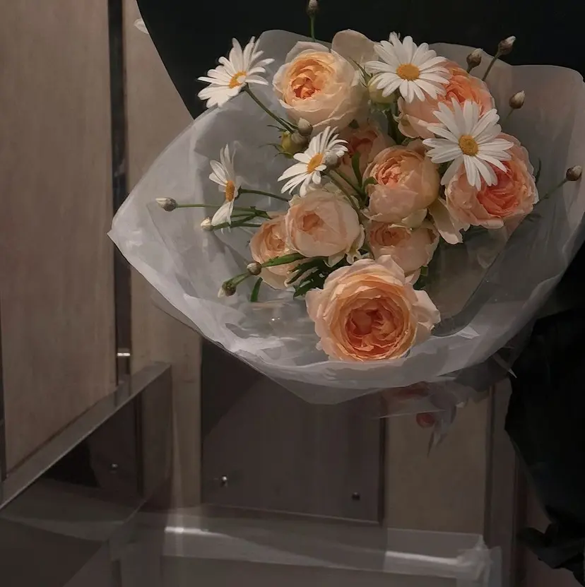 小嶋 菜央の掲載