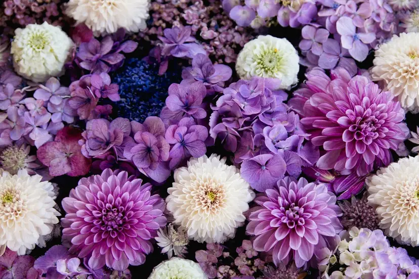 Salon'sDoo yuukaの掲載