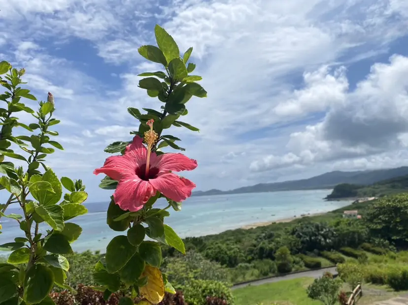 石垣廣乃 /Hironoの掲載