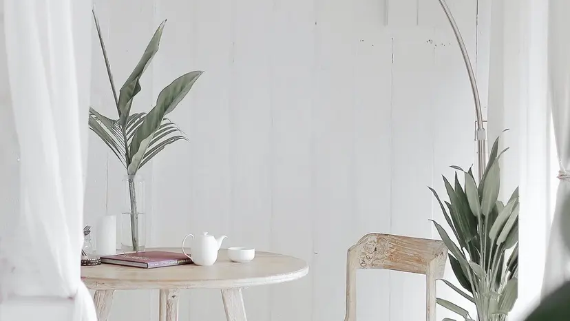 Ailes de Ange MARIの掲載