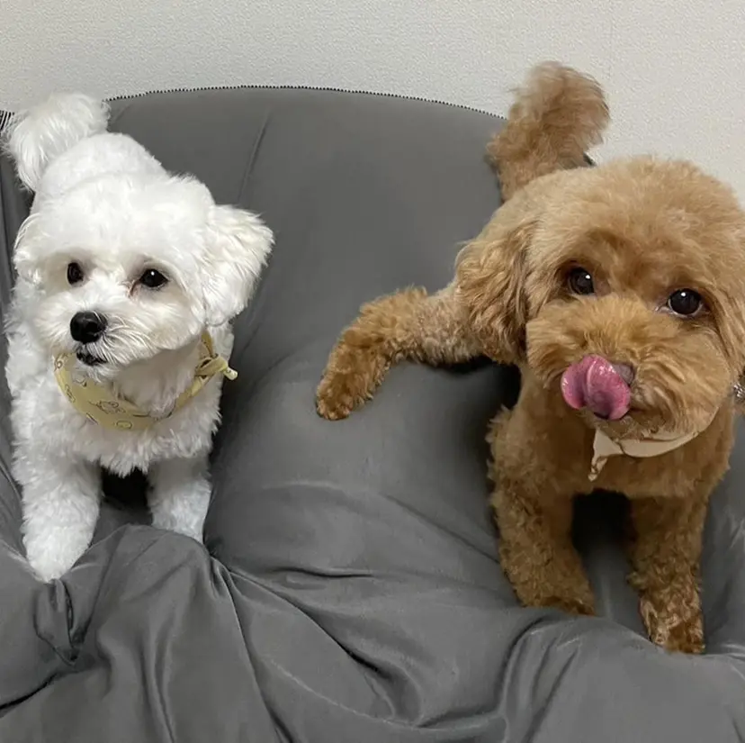 KIHO ｜Bond 三軒茶屋の掲載