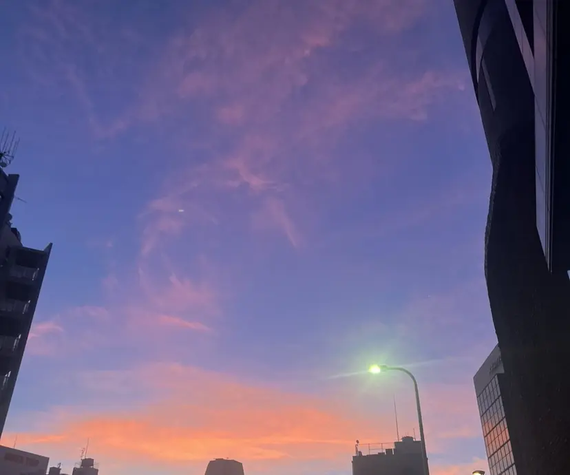 eyelist Rinoの掲載