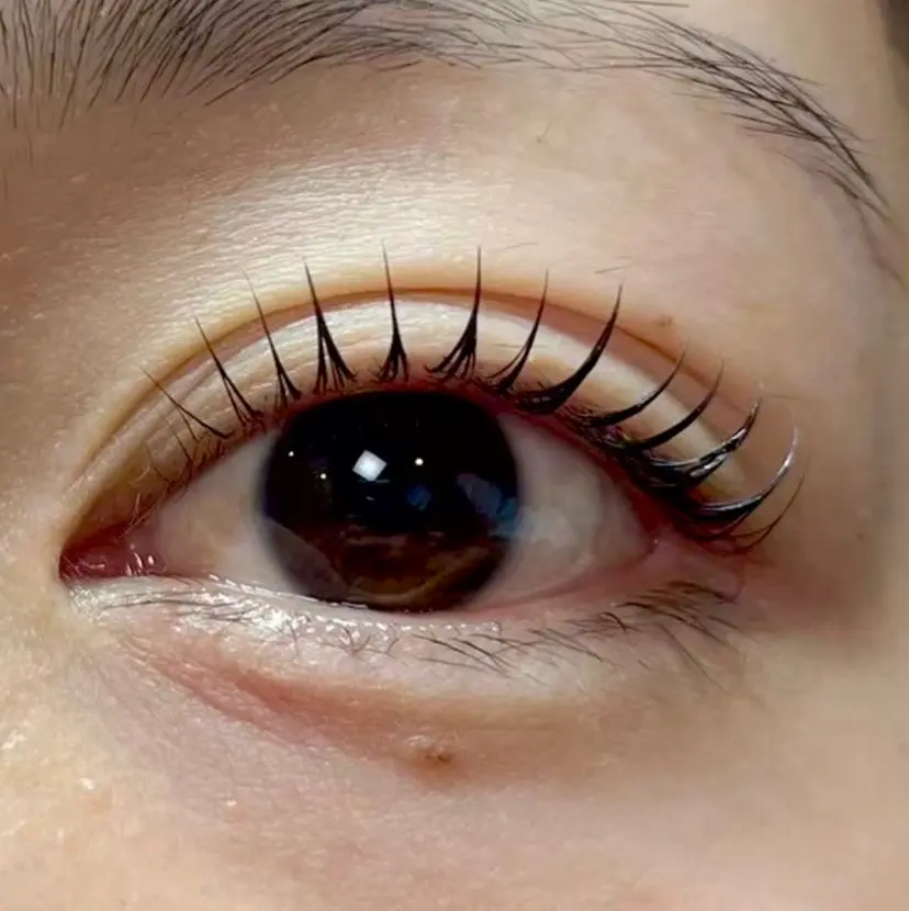 Linolea beautyの掲載