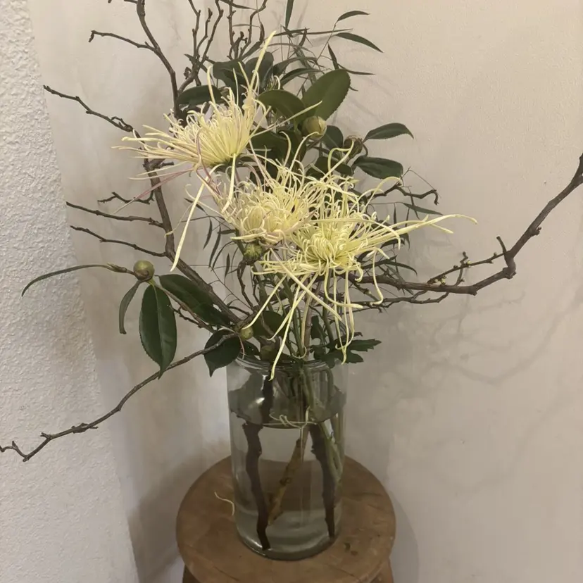 縮毛矯正/無料 ／emiの掲載