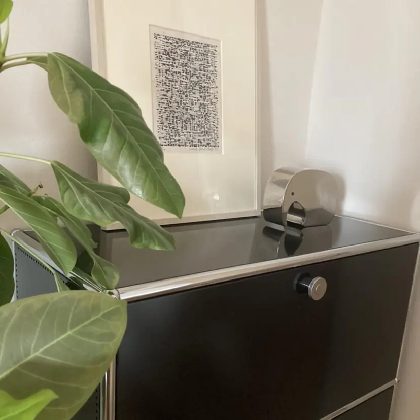 NOZ eyedesignの掲載