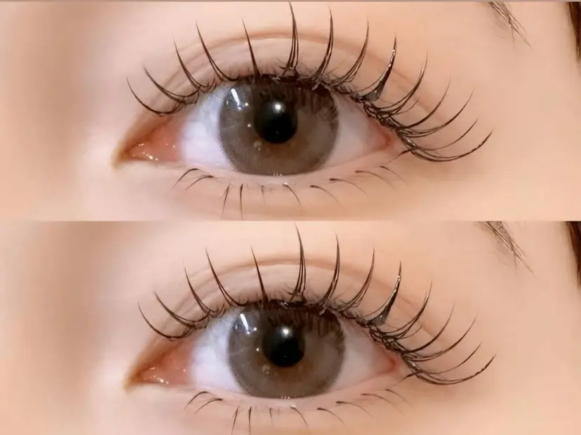 渡辺 志乃の掲載