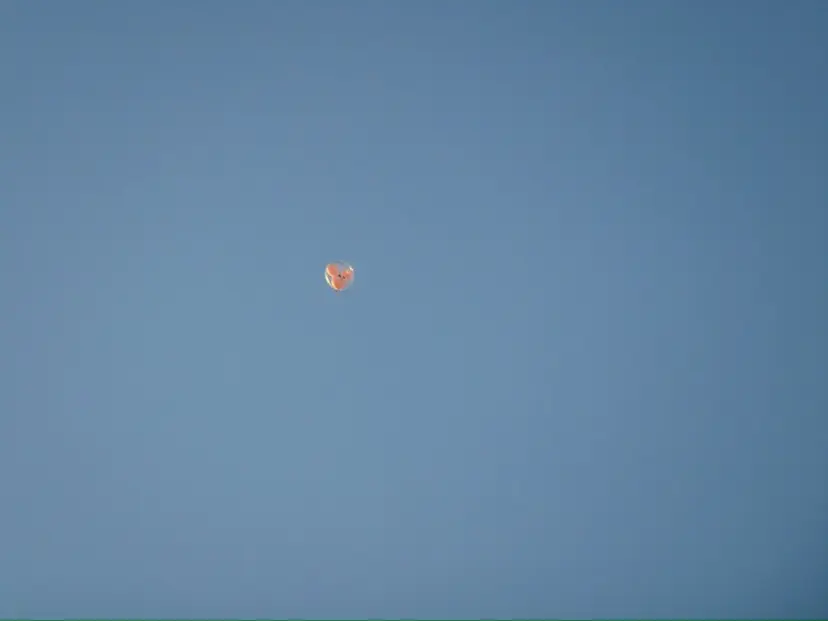 垢抜け眉WAX専門 ちゅるんまつげ|鎌倉の掲載