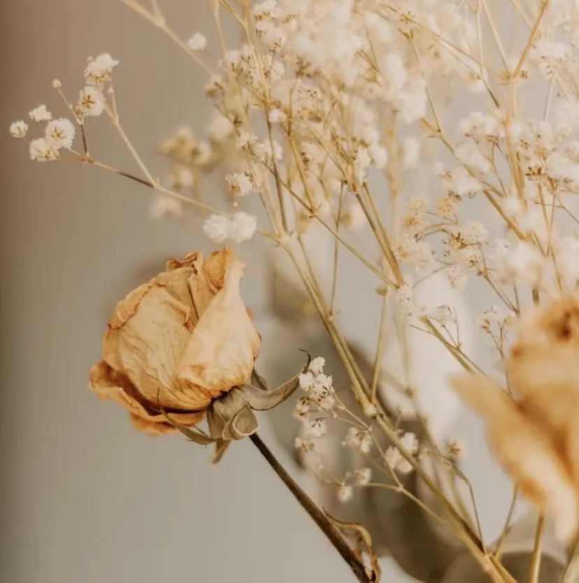 kohei 【期間限定募集】の掲載