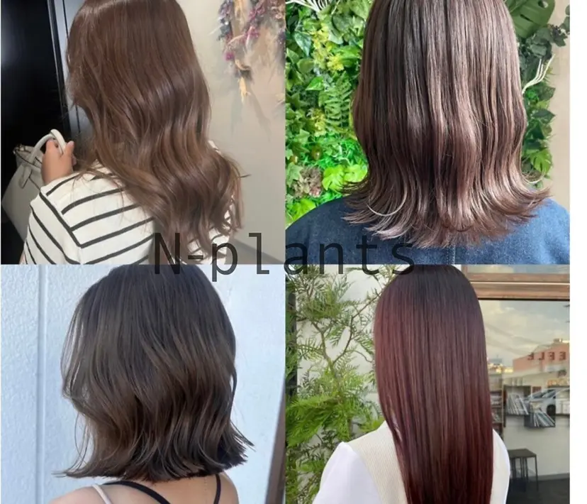 N-plants 和泉中央店の掲載