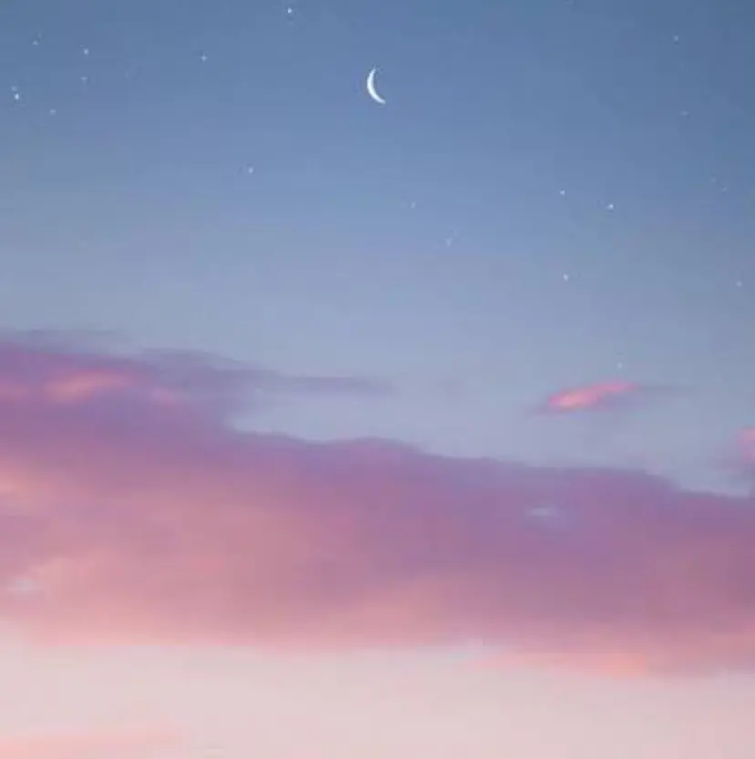 小関 茅里の掲載