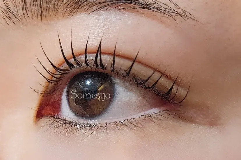 Somesyo ソメショウの掲載