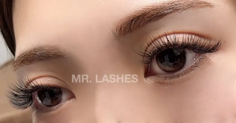 MR.LASHES 🧸erikaの掲載