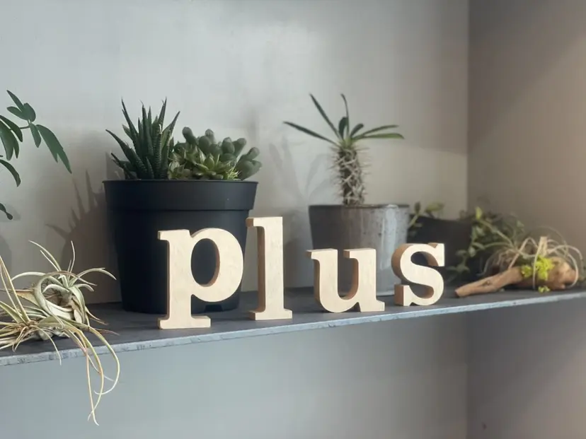 中山 奈津希の掲載