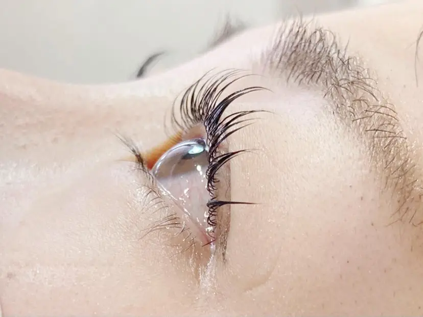 武久 知美の掲載