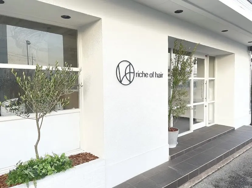 光本 千紘の掲載