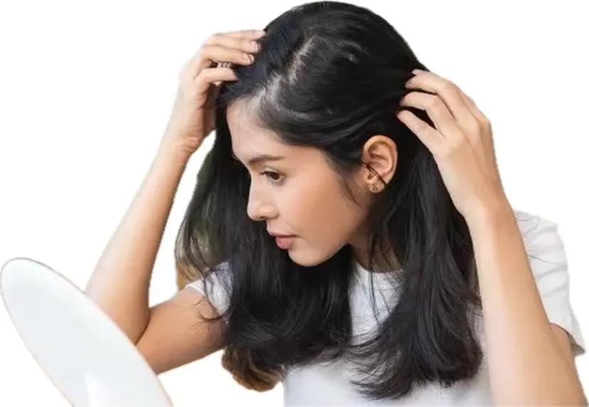 スカルプ専門FAIT H STYLE'Sの掲載