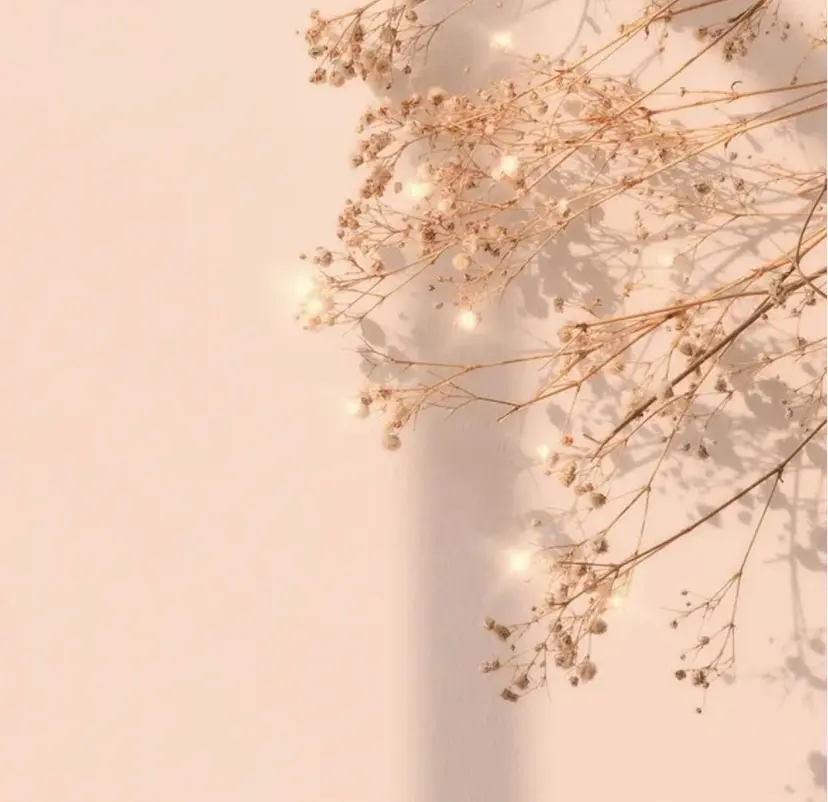 ✨透明感カラー✨髪質 改善✨国分魚生の掲載