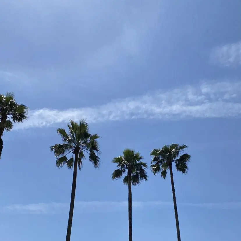 REMIA横須賀中央 翁川なぎさの掲載