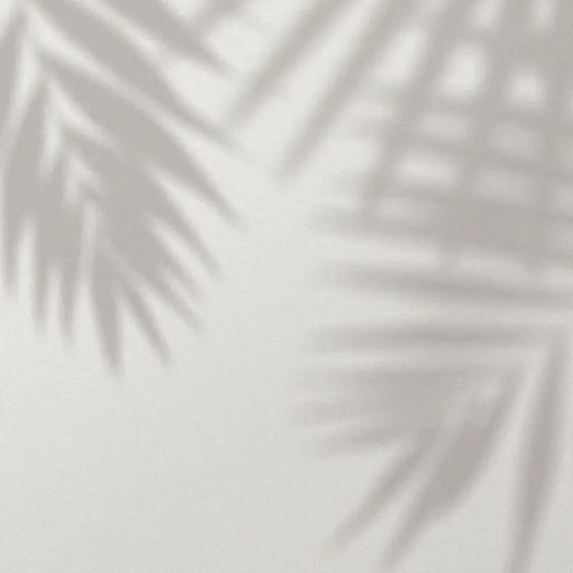 井上 知美の掲載