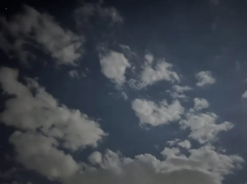 だいこく ななかの掲載