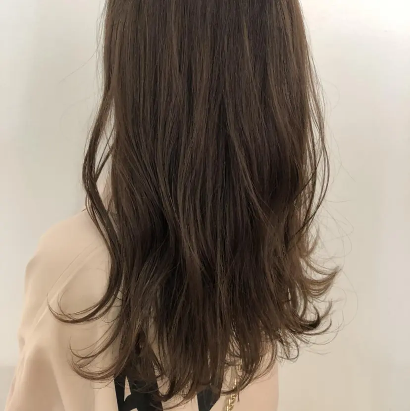 金子 直樹の掲載