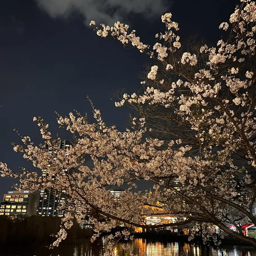 THEEYEBROW ♡大石の掲載