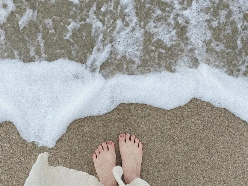 町田 杏花の掲載