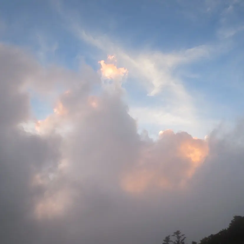 カシェリタ🌛 ハルナの掲載