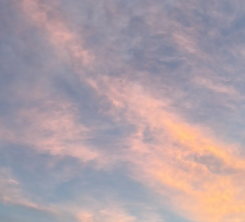 MACHÉRIE青山 🎀の掲載