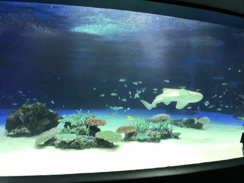 美髪✨髪質改善✨ JUNKOの掲載