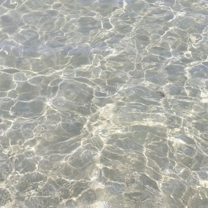 kubo nozomiの掲載