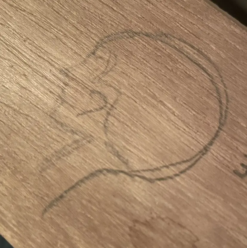 せい めいの掲載